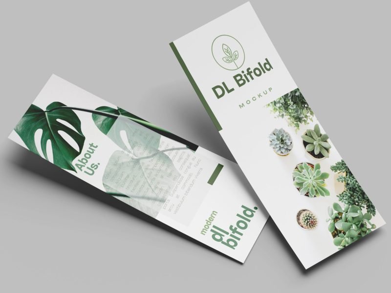 dl_flyer_mockup_psd3